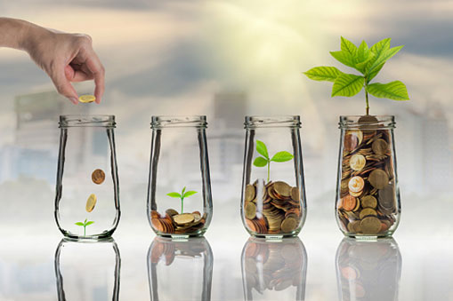 hand placing coins in a vase next to three other vases with increasing amounts of coins and growing plants