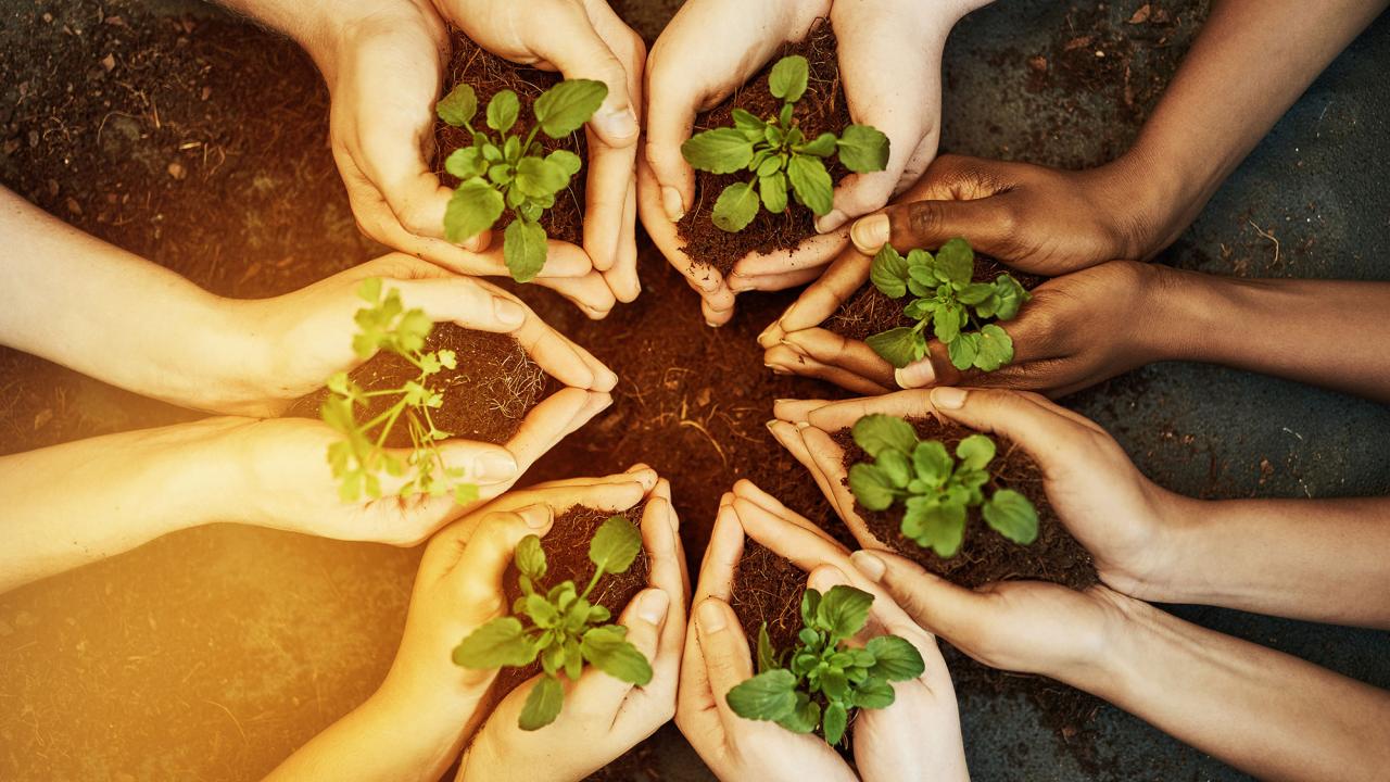 hands in a circle holding plants