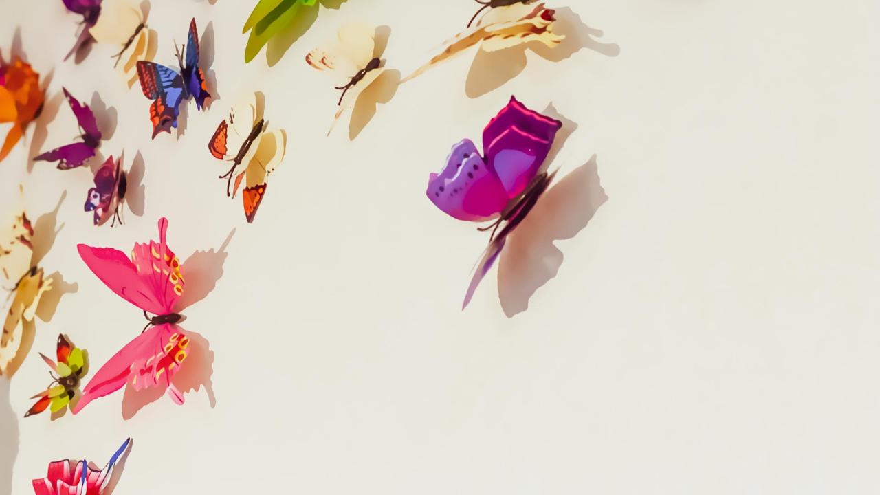 Butterflies in flight