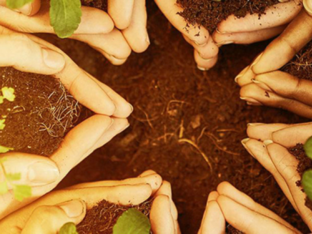 Multiple hands planting seeds and holding plants