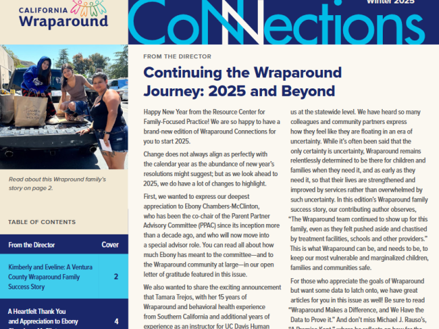 Screenshot of Wraparound Connections