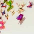 Butterflies in flight