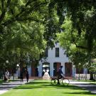 UC Davis campus