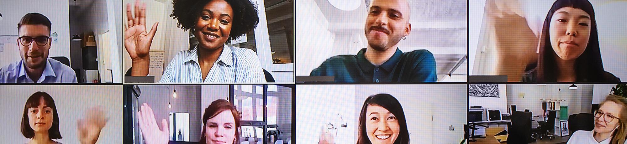 participants in a video conference call